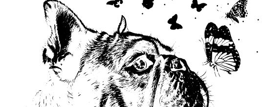 Captura de tela 2025-03-14 174636