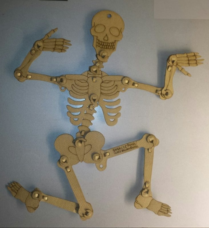 Articulated Skeleton 1
