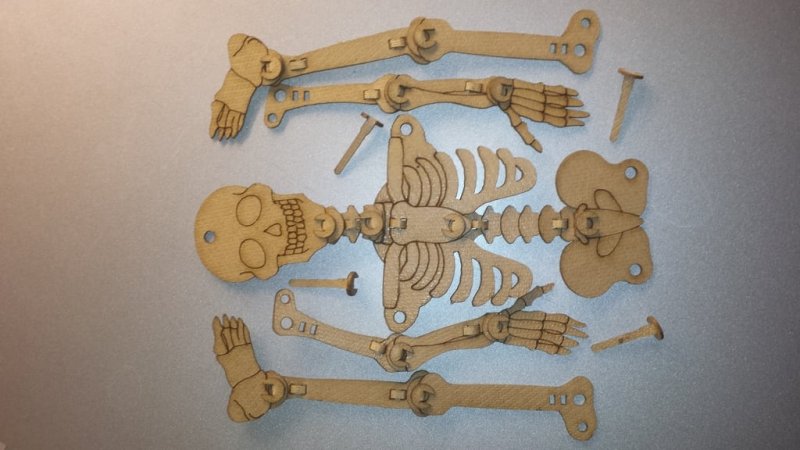 Articulated Skeleton 2