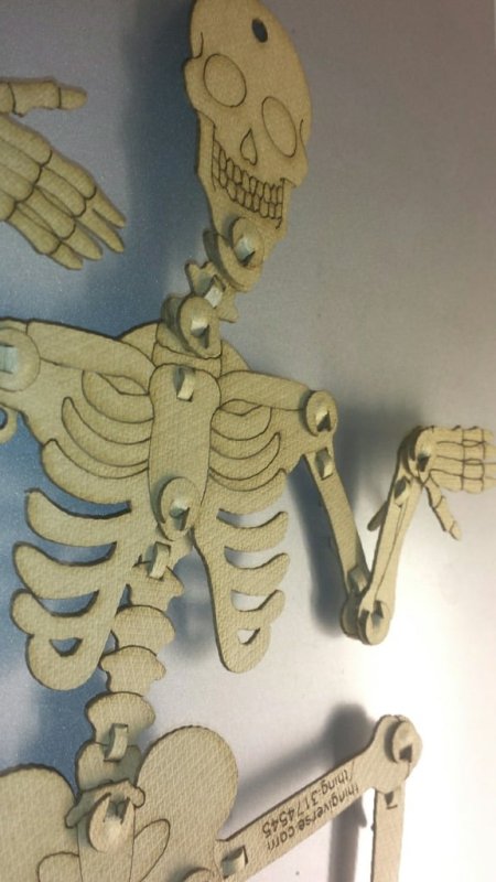 Articulated Skeleton 3