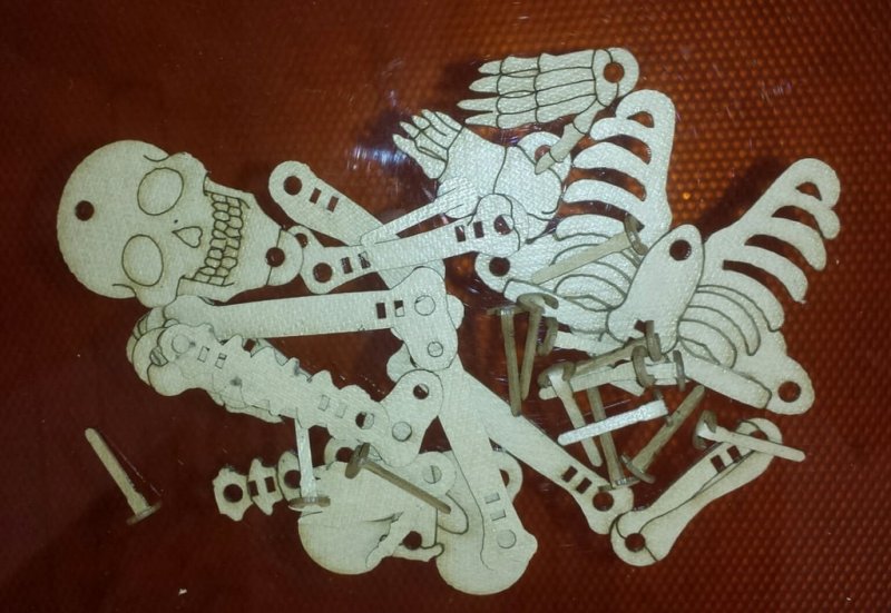Articulated Skeleton 5