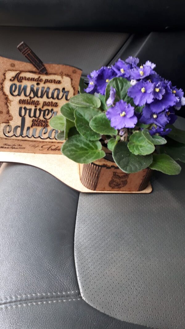 Professores-lembranca-Henry-600x1067