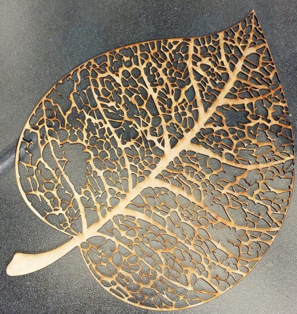 leaf-skeleton